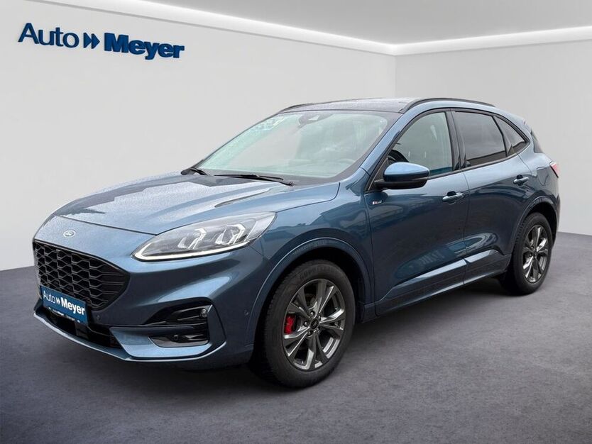 Kuga