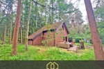 6.503 m² Naturparadies an der Hunte – Wochenendhaus in traumhafter Waldlage - Einfamilienhaus Wildeshausen | Angebot:26801669