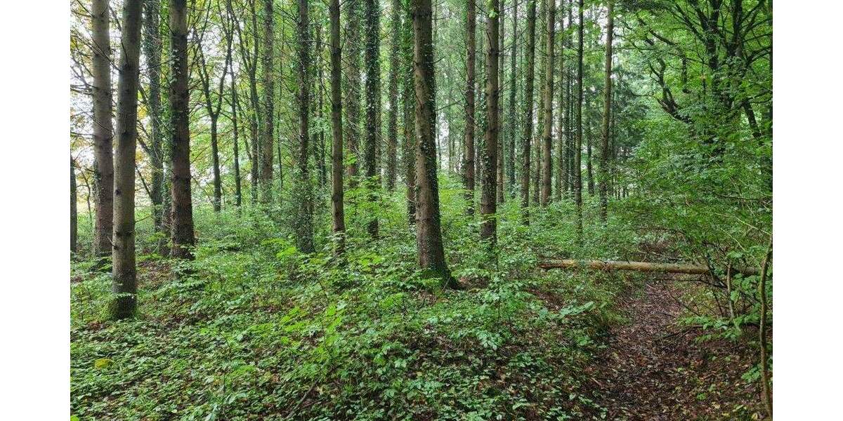 Grundstück Rastede Hankhausen I - 119.000&euro; | Angebot:25727797