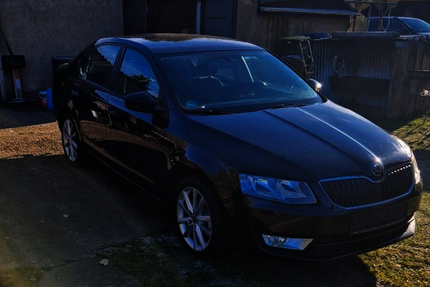 Skoda Octavia 175.000 km 7.100 &euro; Malchow 17213