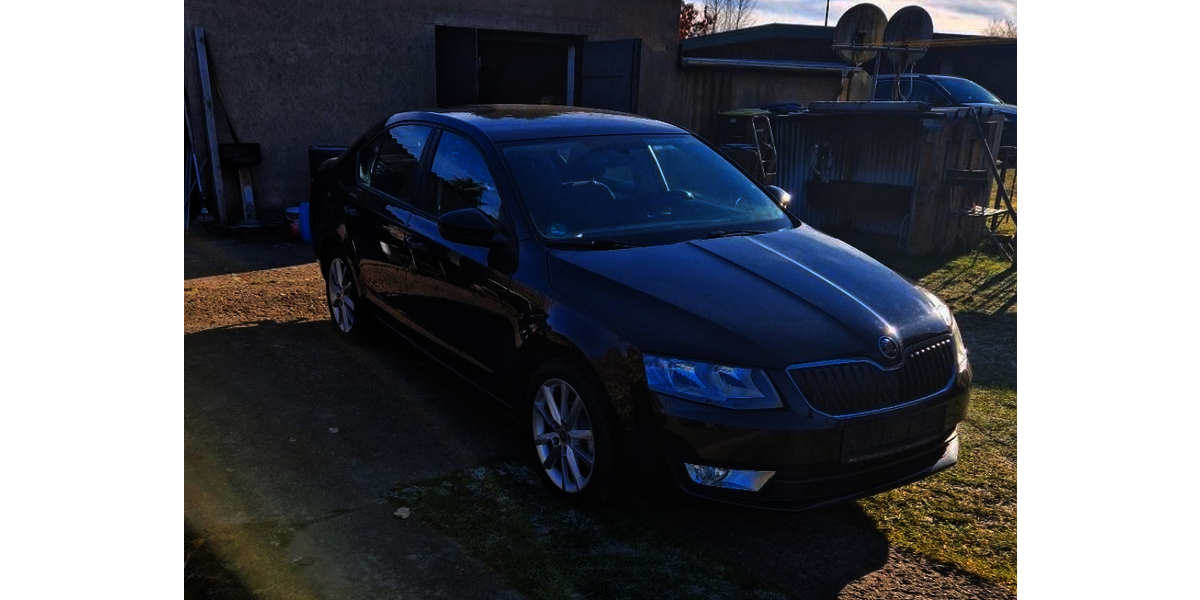 Skoda Octavia 175.000 km 7.100 &euro; Malchow 17213