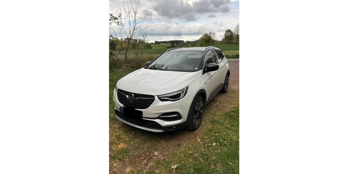 Opel Grandland (X) 122.500 km 17.500 &euro; Hillesheim 54576