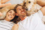 In 7 Monaten bauen wir ihr neues Zuhause... - Einfamilienhaus Weinböhla | Angebot:23783653