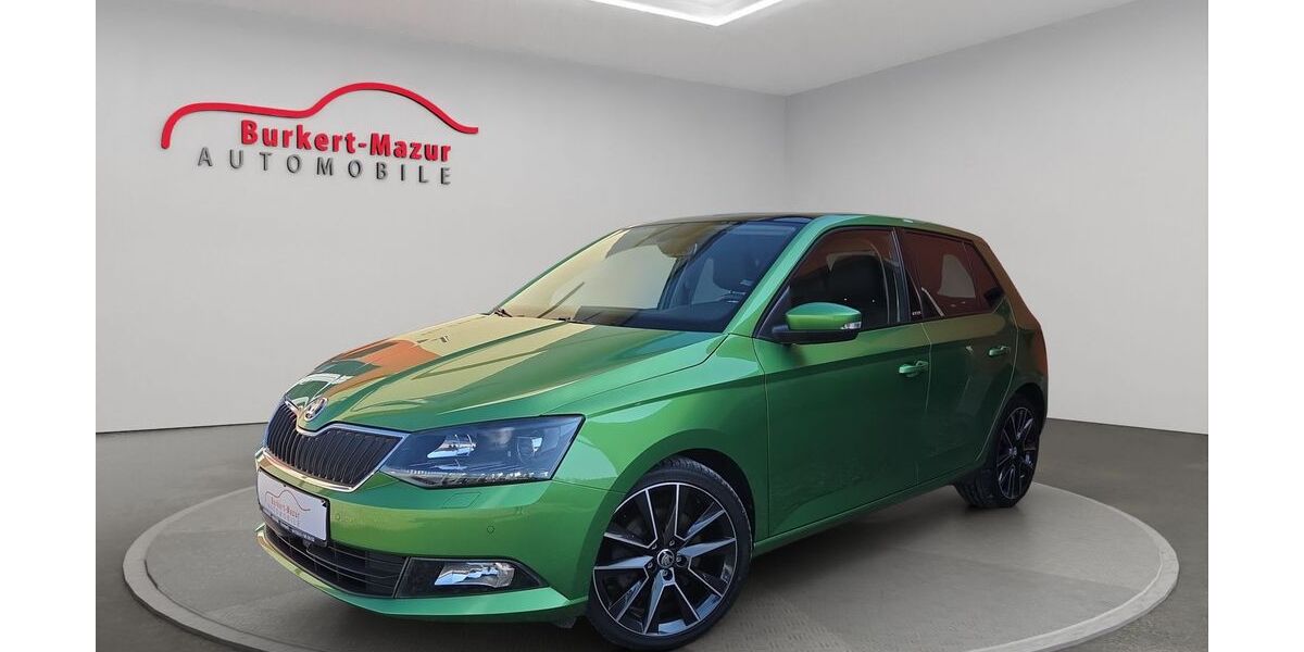 Skoda Fabia 99.900 km 12.585 &euro; Kronach 96317