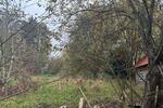 Bauernhaus, Landhaus Dörentrup - 8 Zimmer, 180 m&sup2;, 80.000&euro; | Angebot:26412500