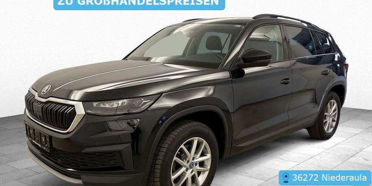 Skoda Kodiaq 136.479 km 23.097 &euro; Frankfurt 60596