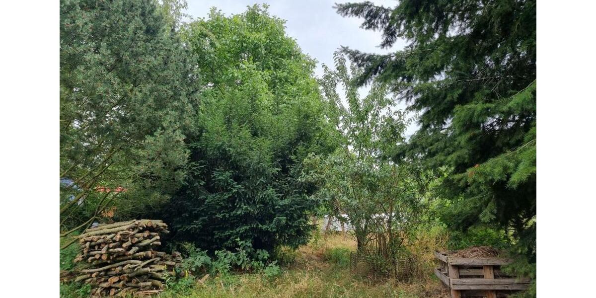Grundstück Potsdam Potsdam West - 60&euro; | Angebot:25325507
