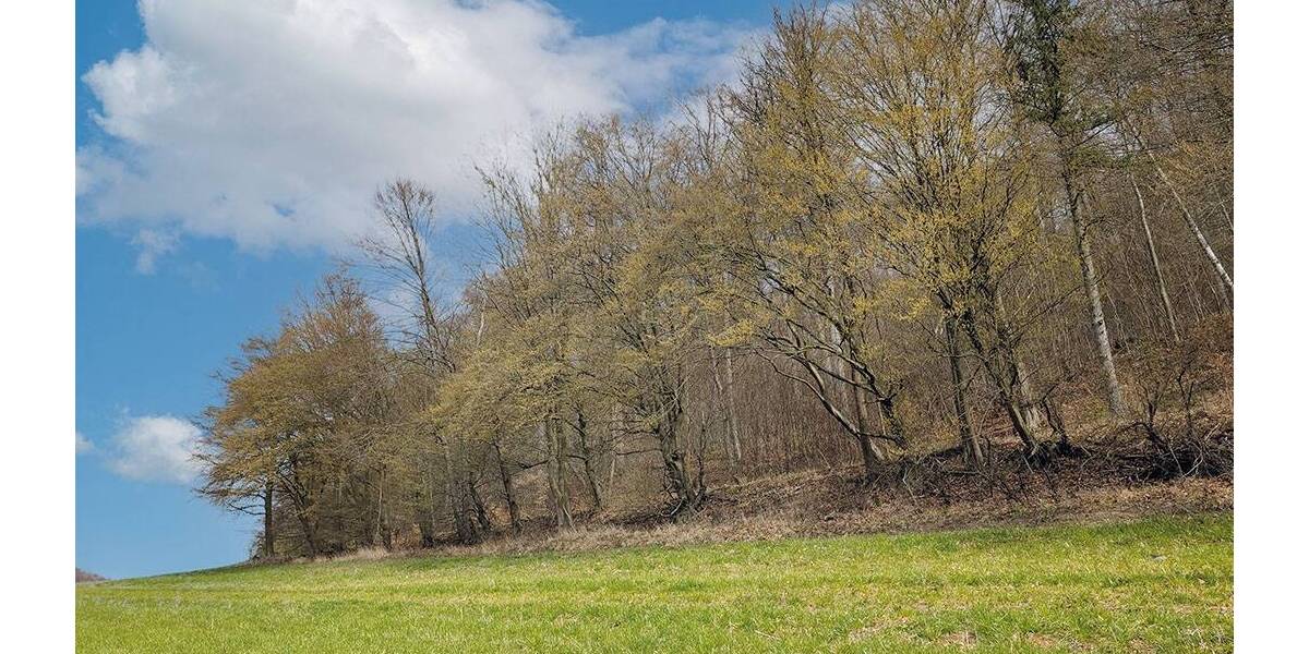 Grundstück Einbeck Orxhausen - 49.000&euro; | Angebot:26246310