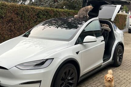Tesla Model X 39.980 km 89.800 € Freiburg 79108
