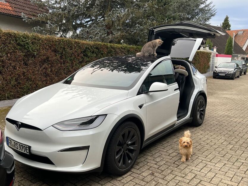 Tesla Model X 39.980 km 89.800 € Freiburg 79108