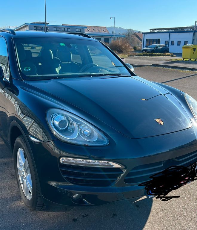 Cayenne