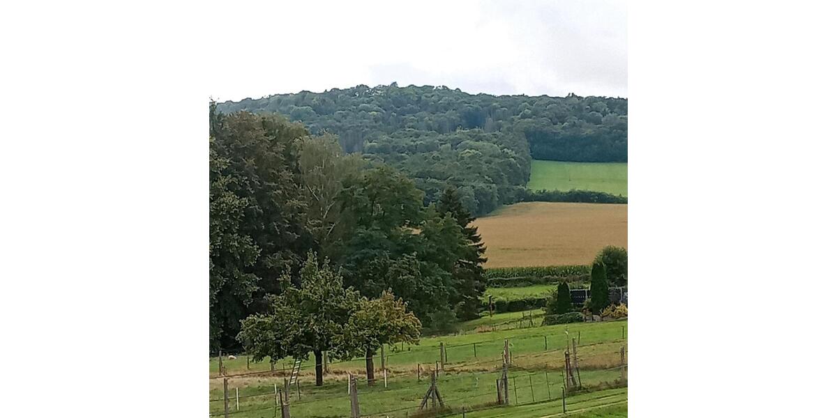 Einfamilienhaus zu vermieten 4 zimmer