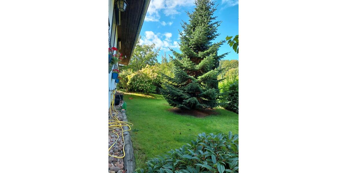 Einfamilienhaus Hitzacker (Elbe) - 7 Zimmer, 215 m&sup2;, 275.000&euro; | Angebot:26906605