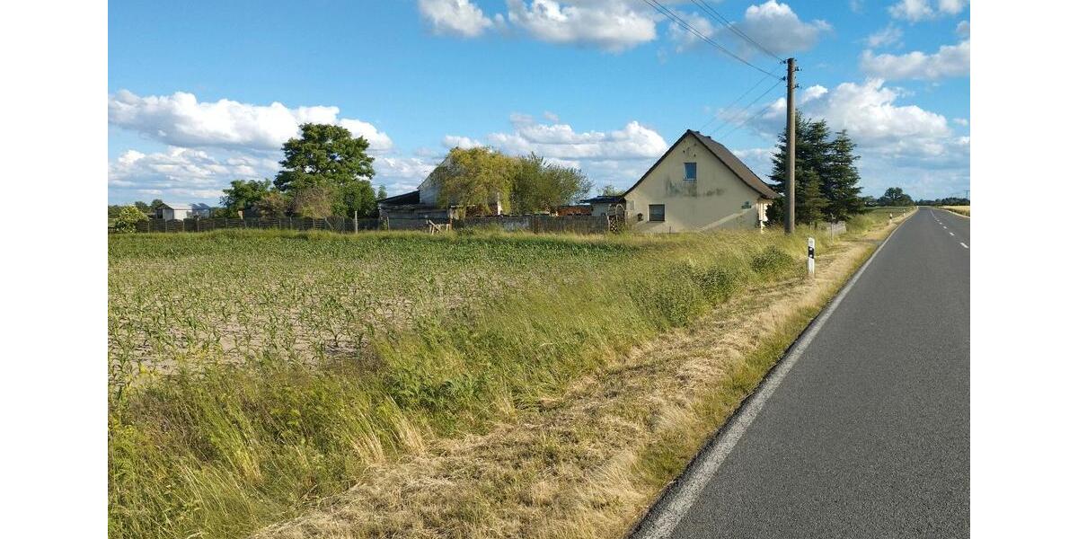Bauernhaus, Landhaus Annaburg - 2.5 Zimmer, 80 m&sup2;, 34.000&euro; | Angebot:26848483