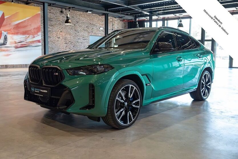 BMW X6 M60 6.099 km 134.990 € Markneukirchen 08258
