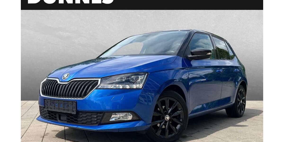 Skoda Fabia 83.000 km 10.885 &euro; Regensburg 93059