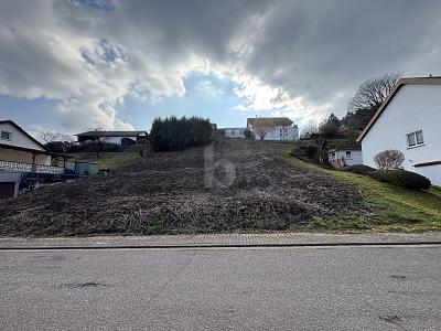 TOP LAGE, VIELE BAUMÖGLICHKEITEN, 765M² - Grundstück Beckingen | Angebot:27145411