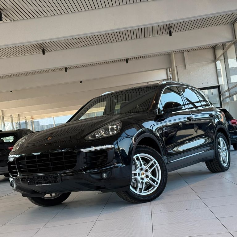 Cayenne