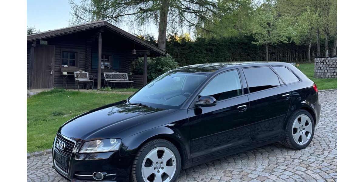 Audi A3 171.500 km 8.900 &euro; Neureichenau 94089