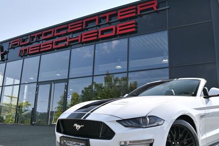 Ford Mustang 1.159 km 53.790 &euro; Meschede/NRW 59872