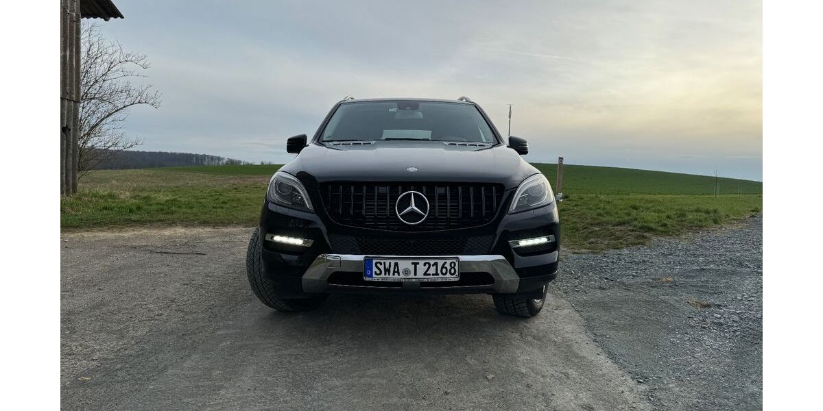 Mercedes-Benz ML 350 176.000 km 22.300 &euro; Hohenstein 65329