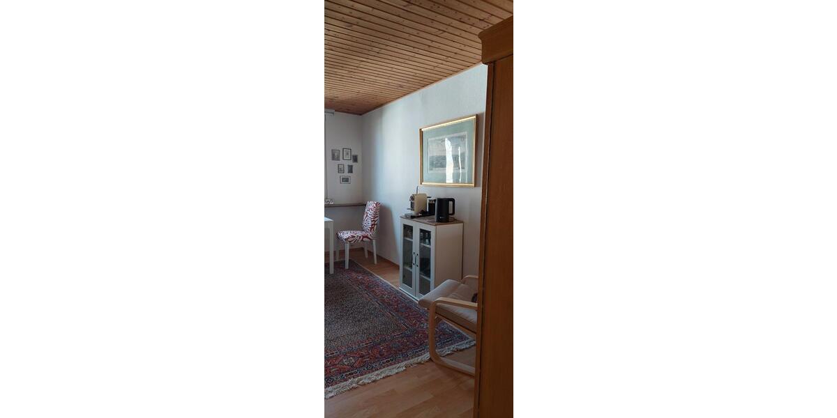 Dachgeschoßwohnung Wiesbaden Biebrich - 1 Zimmer, 30 m&sup2;, 550&euro; | Angebot:26040473