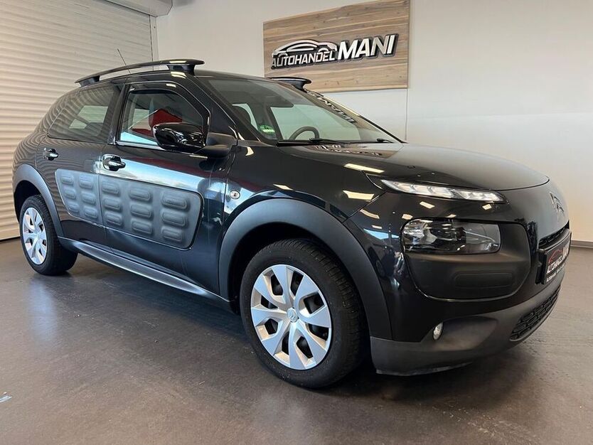 C4 Cactus
