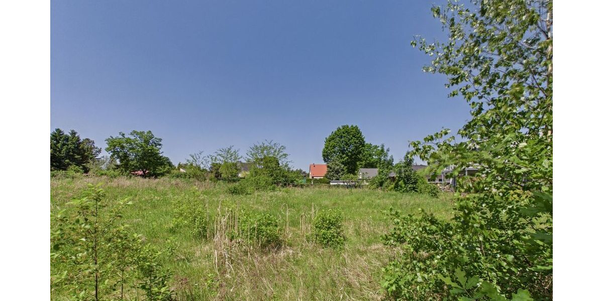 Naturbelassenes Baugrundstück in Hangelsberg - Morgens Vogelstimmen statt Straßenlärm - Grundstück Grünheide (Mark) | Angebot:26786395