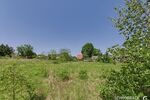Naturbelassenes Baugrundstück in Hangelsberg - Morgens Vogelstimmen statt Straßenlärm - Grundstück Grünheide (Mark) | Angebot:26786395