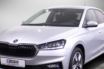 Skoda Fabia 61.163 km 14.444 &euro; Brandis 04821
