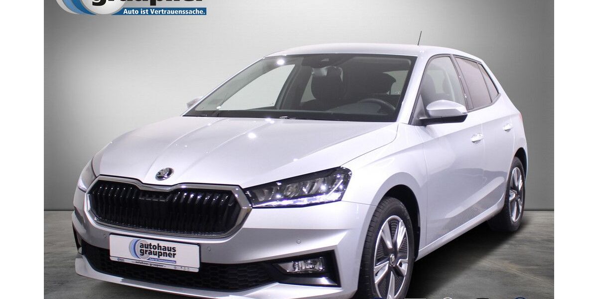 Skoda Fabia 61.163 km 14.444 &euro; Brandis 04821