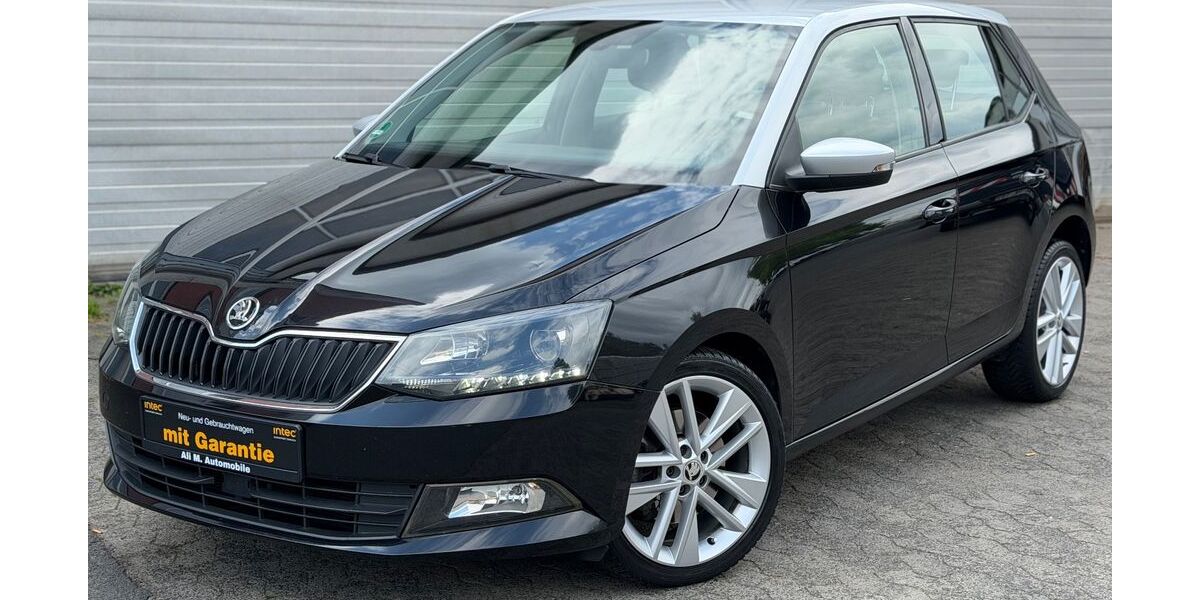 Skoda Fabia 150.000 km 8.300 &euro; Fulda 36100