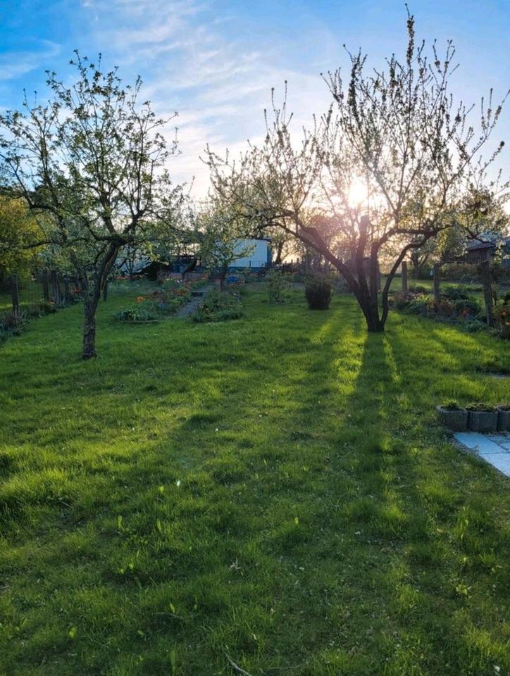 Bungalow auf Eigentumsland zum VerkaufMiete zimmer