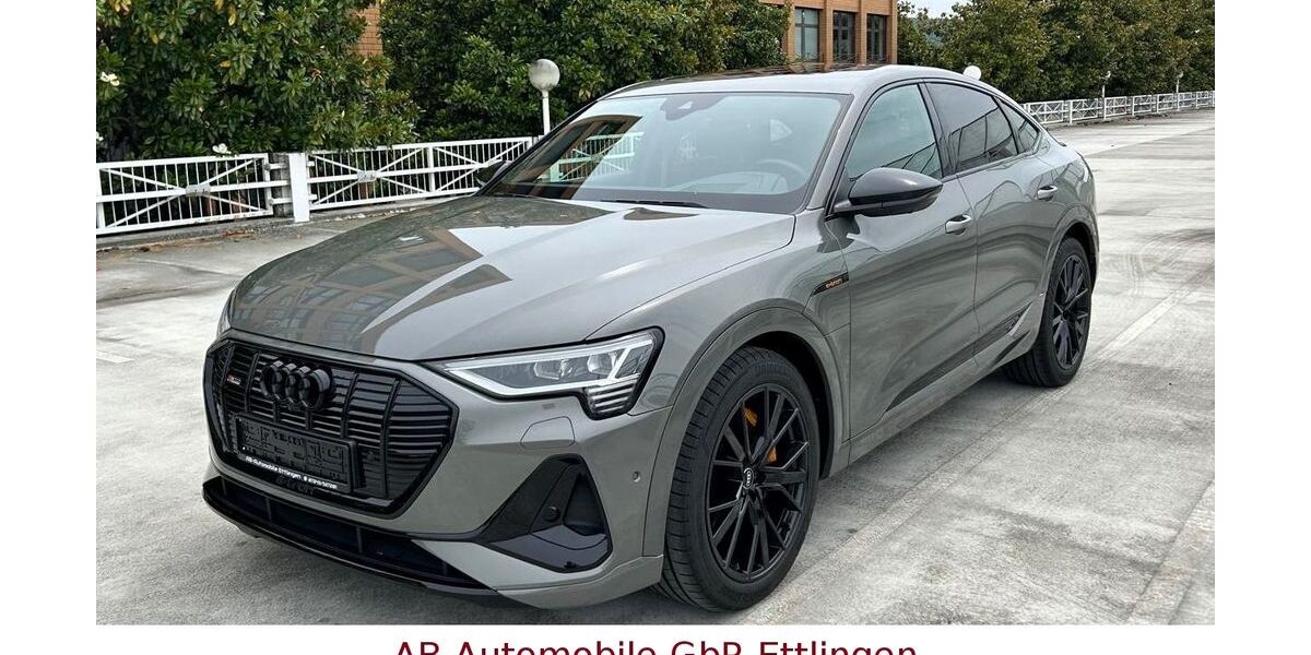 Audi e-tron 42.918 km 41.900 &euro; Ettlingen 76275