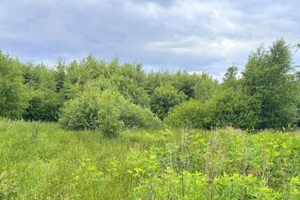 Grundstück Edewecht - 78.000&euro; | Angebot:21446026