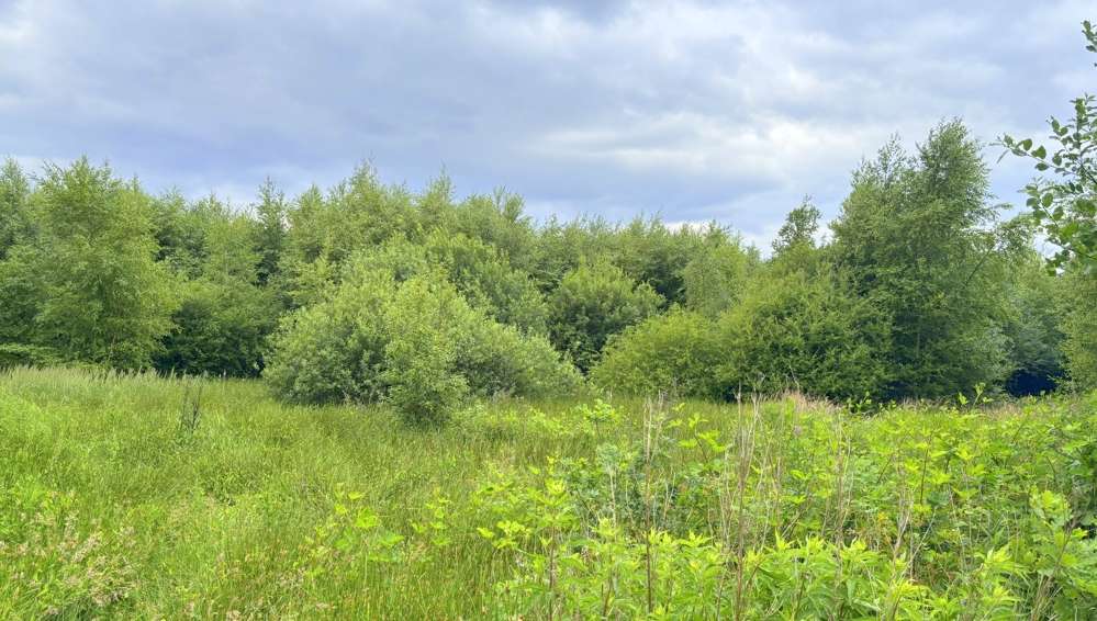 Grundstück Edewecht - 78.000&euro; | Angebot:21446026