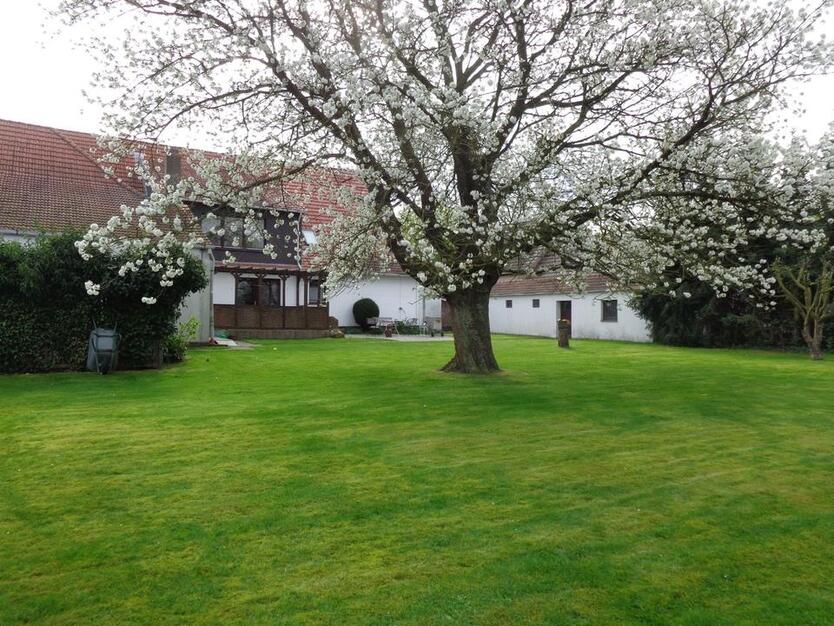 Tolles Zweifamilienhaus mit viel Platz und großem Garten