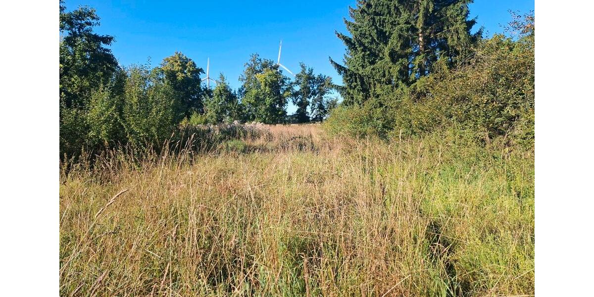 Einfamilienhaus Kyritz - 3 Zimmer, 60 m&sup2;, 119.000&euro; | Angebot:25993927