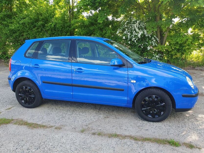 Polo