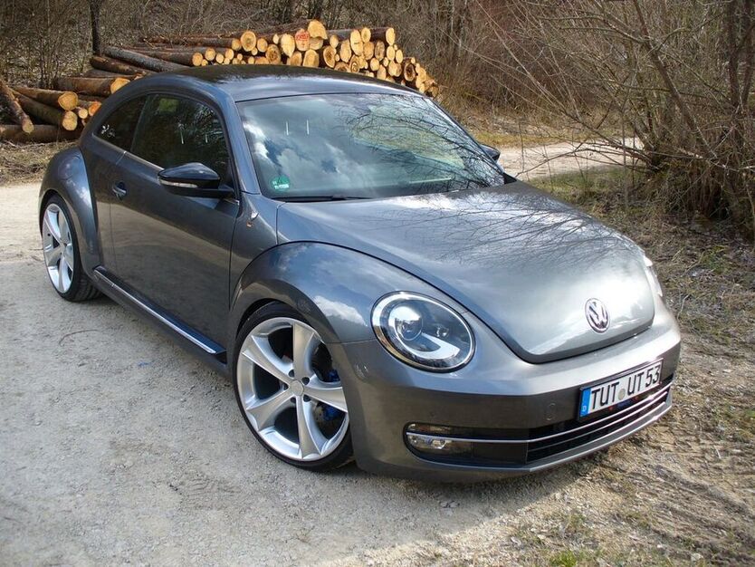 Beetle