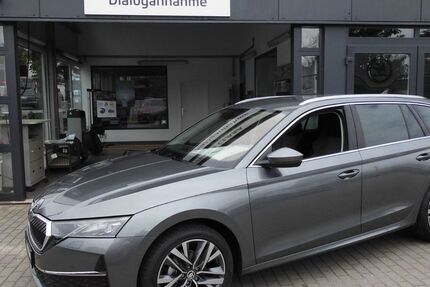 Skoda Octavia 17.000 km 34.900 € Eisenhüttenstadt 15890