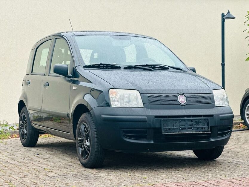 Panda