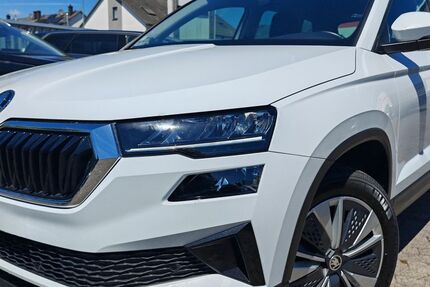 Skoda Karoq 155.024 km 18.445 &euro; Wölfersheim 61200