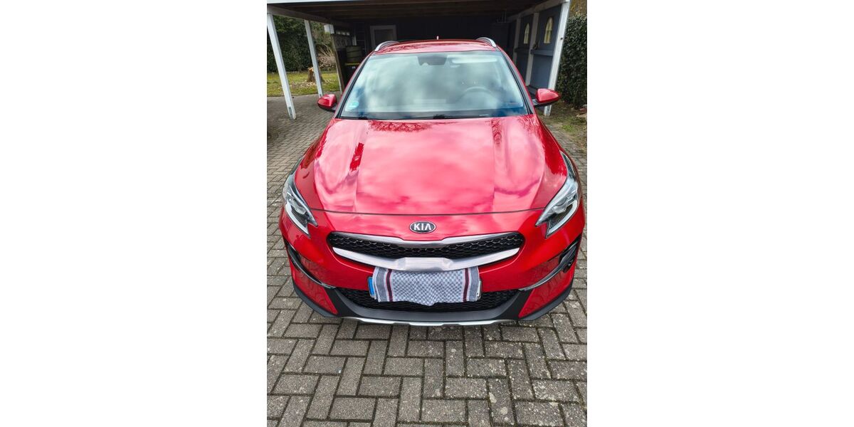 Kia XCeed 33.500 km 22.400 &euro; Reeßum 27367