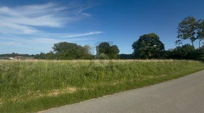 SONNIG, RUHIG & NATURNAH MIT AUSBLICK - Grundstück Riepsdorf | Angebot:27233869