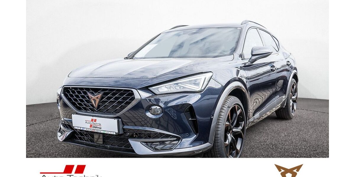 Cupra Formentor 93.916 km 25.880 &euro; Wittenberge 19322