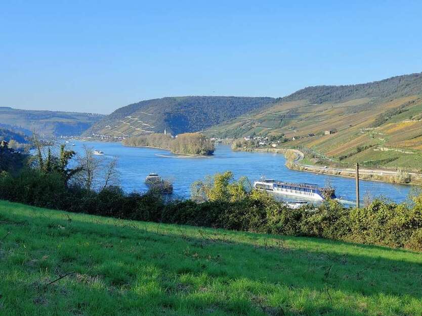 Grundstück zu verkaufen in Trechtingshausen 220.000 € 553 m²