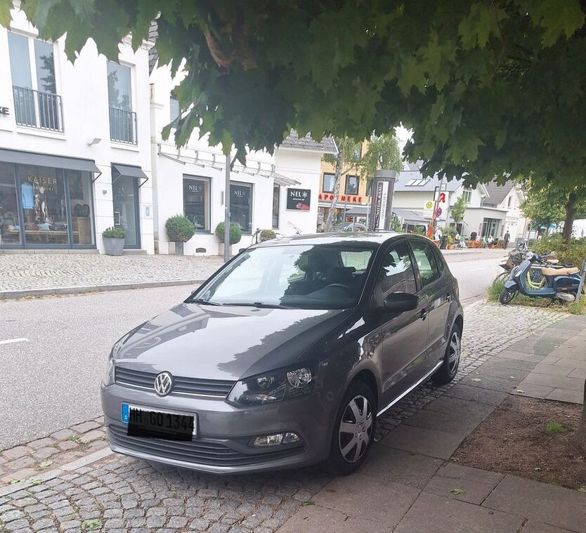Polo