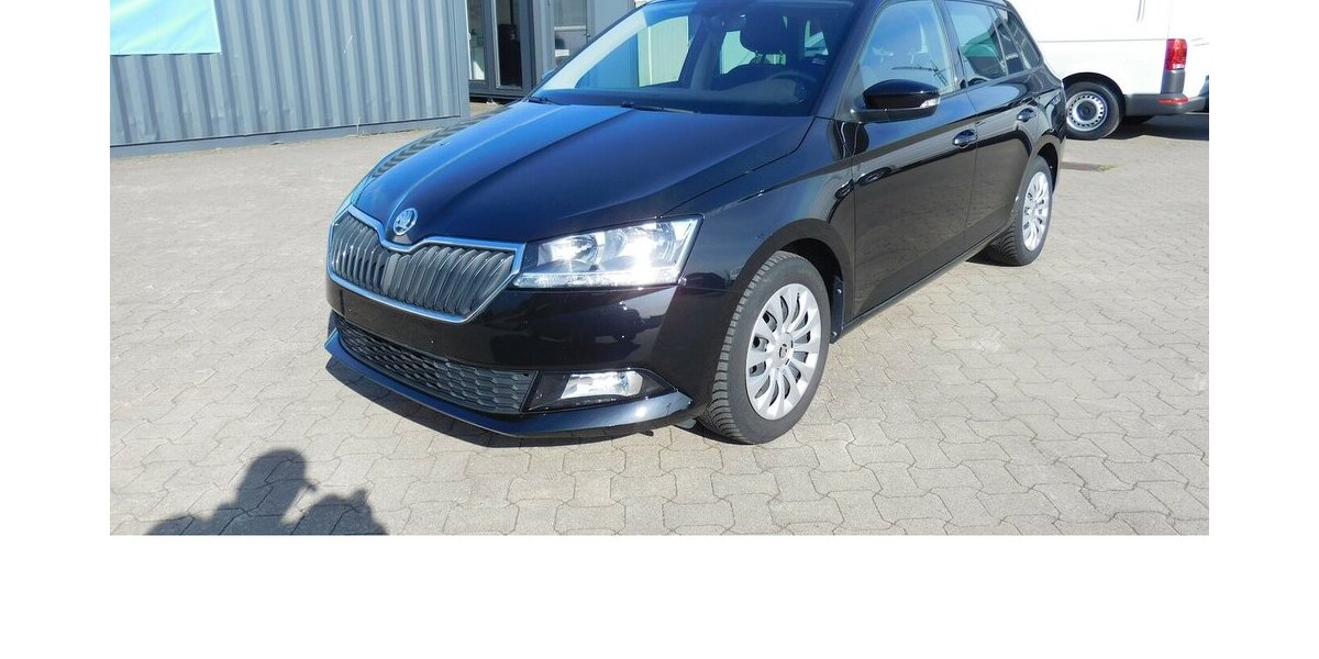 Skoda Fabia 1.0 Kombi Ambition TSI BMT Navi Klima 19.900 km 15.390 &euro; Vordorf 38533