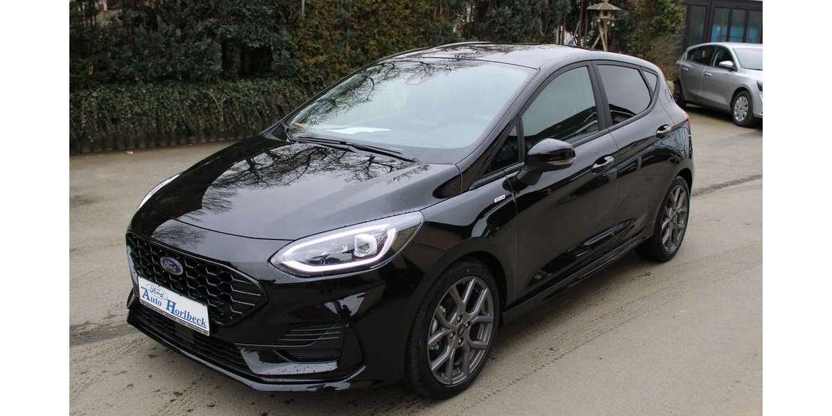 Ford Fiesta 20.000 km 18.950 &euro; Netzschkau-Dungersgrün 08491